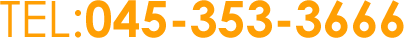 TEL:045-353-3666